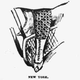 Drawing of lady's legs in bikewear